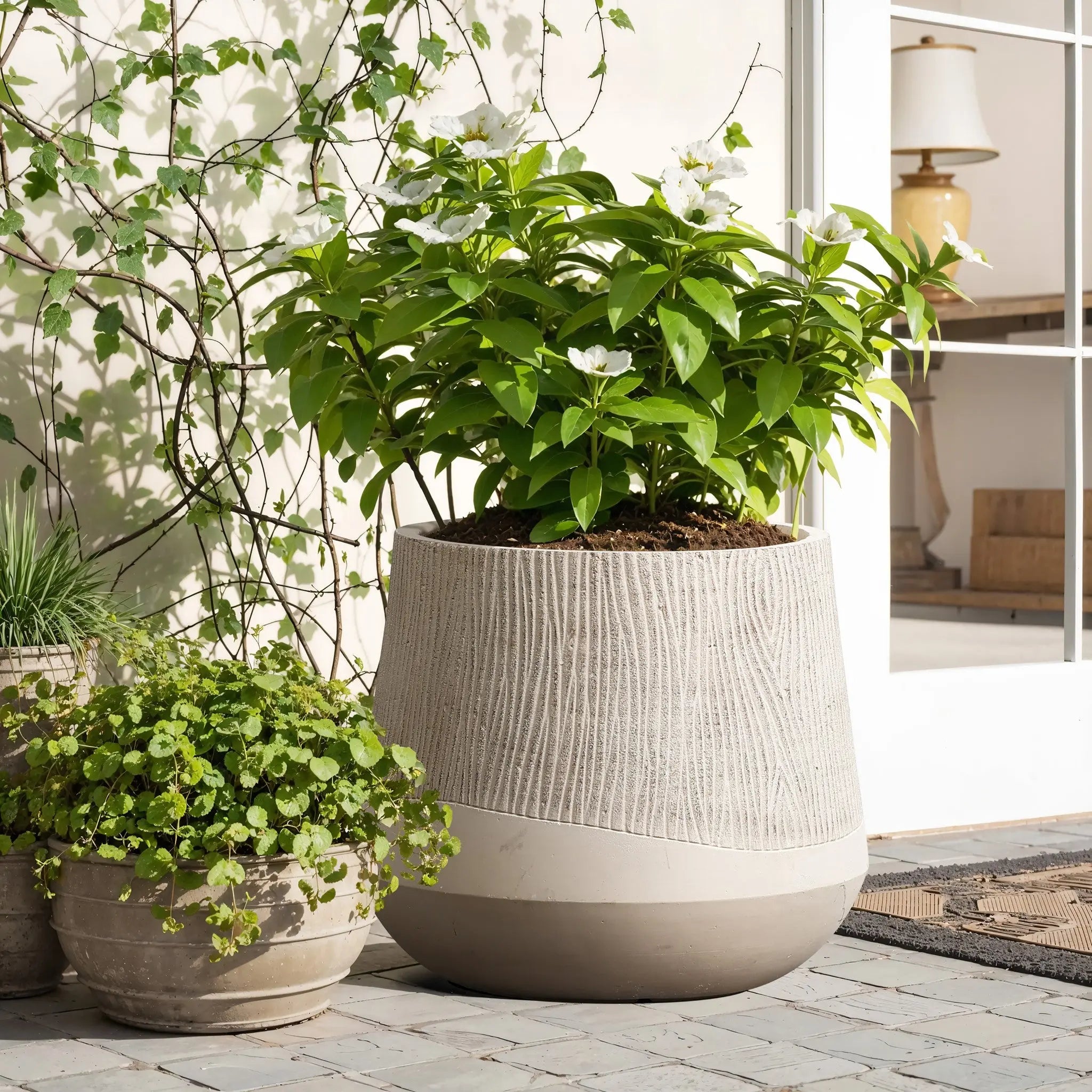 A large, round tapered planter showcases green foliage and white flowers on a stone patio, accompanied by a smaller pot with greenery. Set against a white wall and a partially visible window with sheer curtains, its magnesium oxide finish adds elegance to the serene setting.