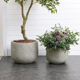 Two textured planters on a tiled floor, crafted from durable MgO material—one cradling a leafy tree and the other brimming with wildflowers and greenery. A white-paneled wall stands in the background, enhancing their charm.