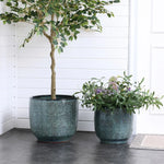 Two Marina gray glazed round ceramic planters by LuxenHome sit on a tiled floor. One holds a lush, leafy tree while the other features flowering plants. The setting includes white wooden paneled walls and a doormat near a door.