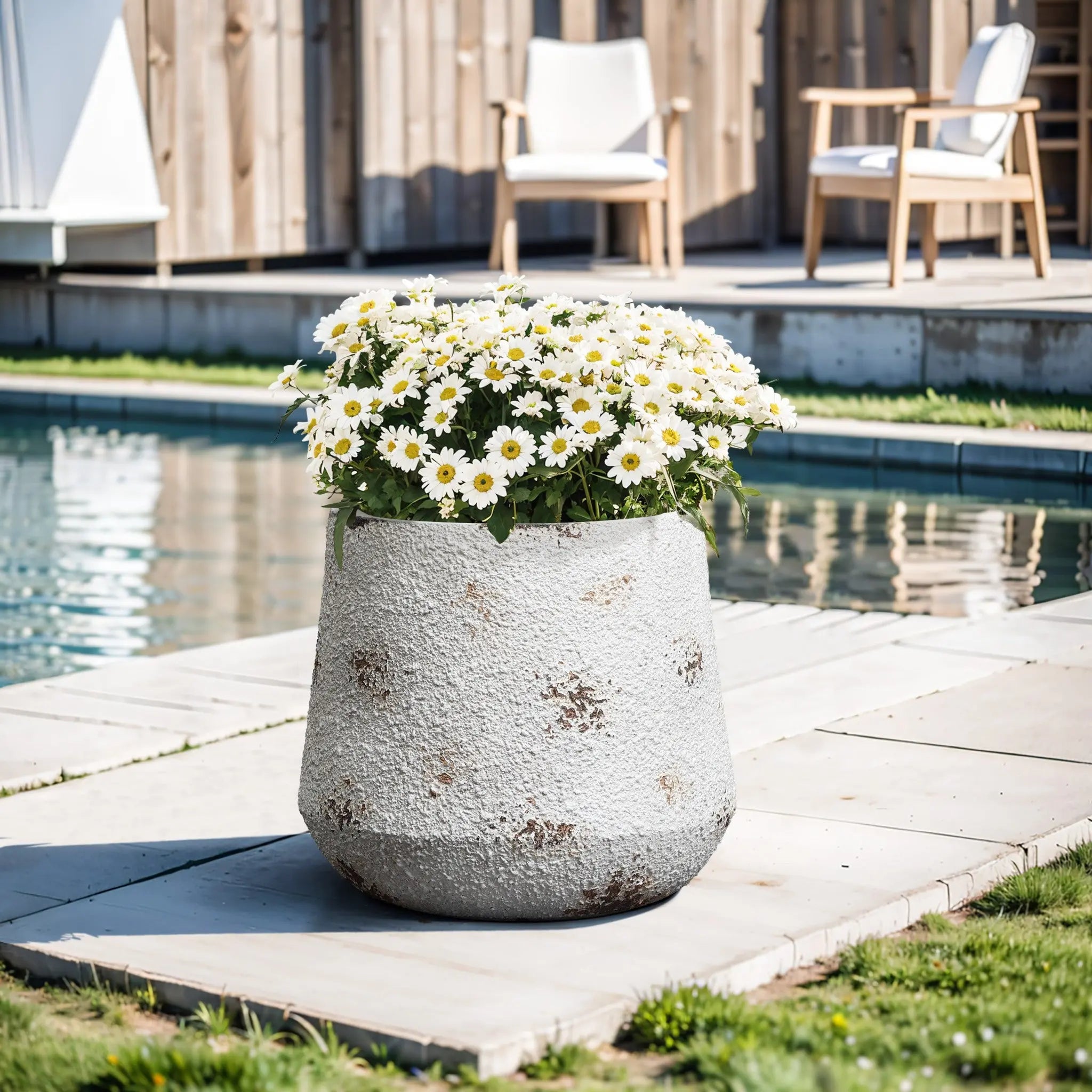 A large gray MgO material planter with white daisies sits gracefully on a tiled patio near the swimming pool, exuding a vintage minimalist style. In the background, two wooden chairs and a table complete the serene setting.