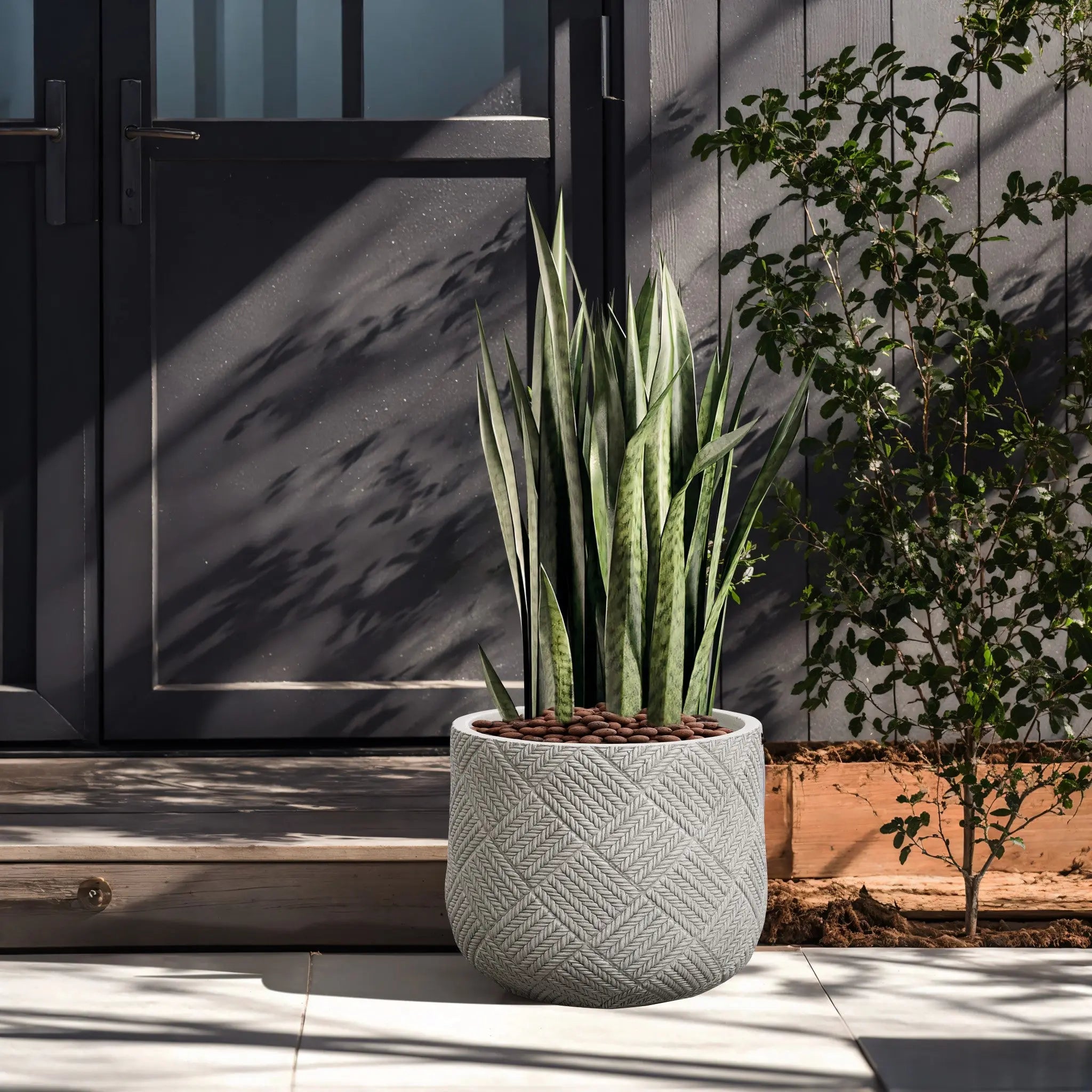 A potted snake plant rests on a sunlit patio, showcasing a modern minimalist aesthetic against a dark-colored door. Crafted from durable MgO material, it complements the shadows of nearby foliage cast elegantly on the door and wall.