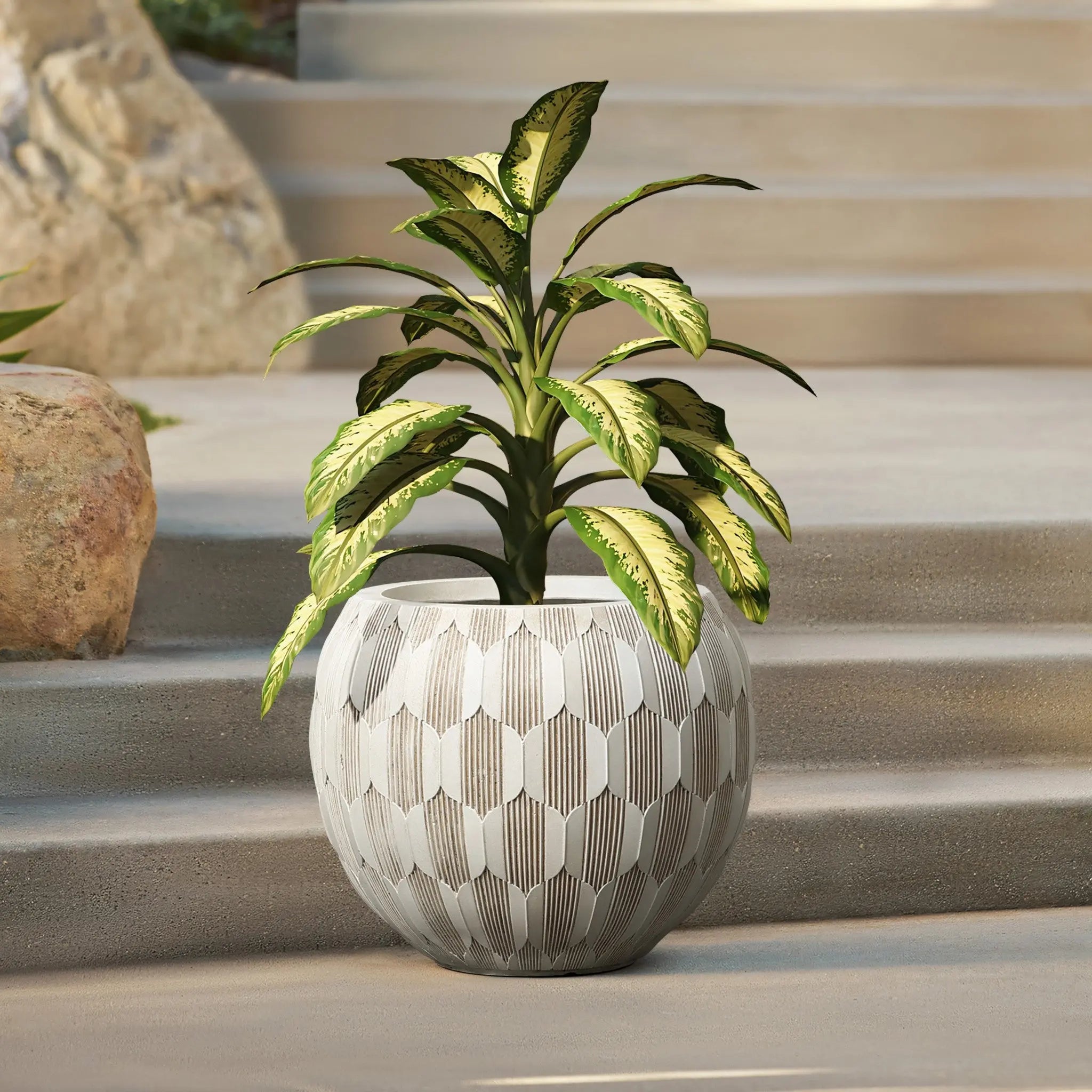 A LuxenHome White and Beige Geometric Patterned Round Planter (11.81 h) holds a green and cream patterned plant, perched on a stone step. The background showcases additional steps and a large rock, creating a serene and natural ambiance.