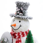 Holiday-snowman-with-frosted-black-hat-decorations