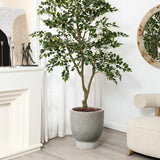 A potted tree in a grey MgO material planter stands in a minimalist living room next to a chair and white fireplace. A round mirror and modern decor, along with a cleverly designed drainage hole, complete the serene backdrop.