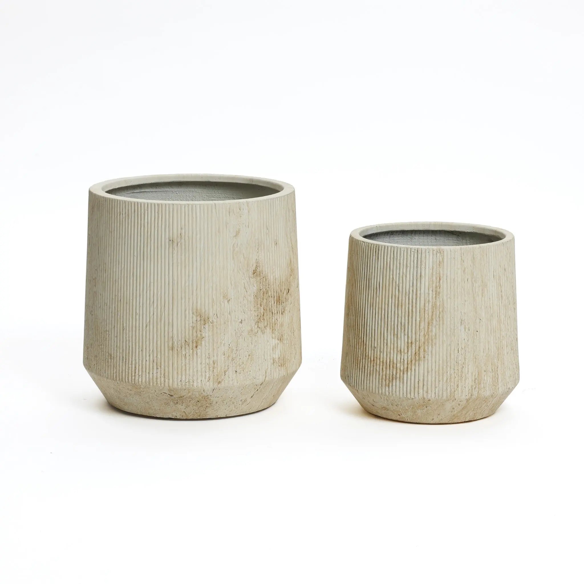 Two textured, cylindrical concrete pots of different sizes create the perfect setting for a succulent garden on a white background.