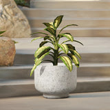 A potted plant with green and yellow variegated leaves sits in a weather-resistant planter on a gray stone step outdoors, beside a rock.