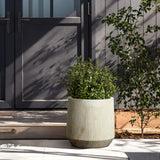 A potted plant sits in a marble planter beside a closed door in a sunlit area. Another plant grows nearby, casting shadows on the paved ground.