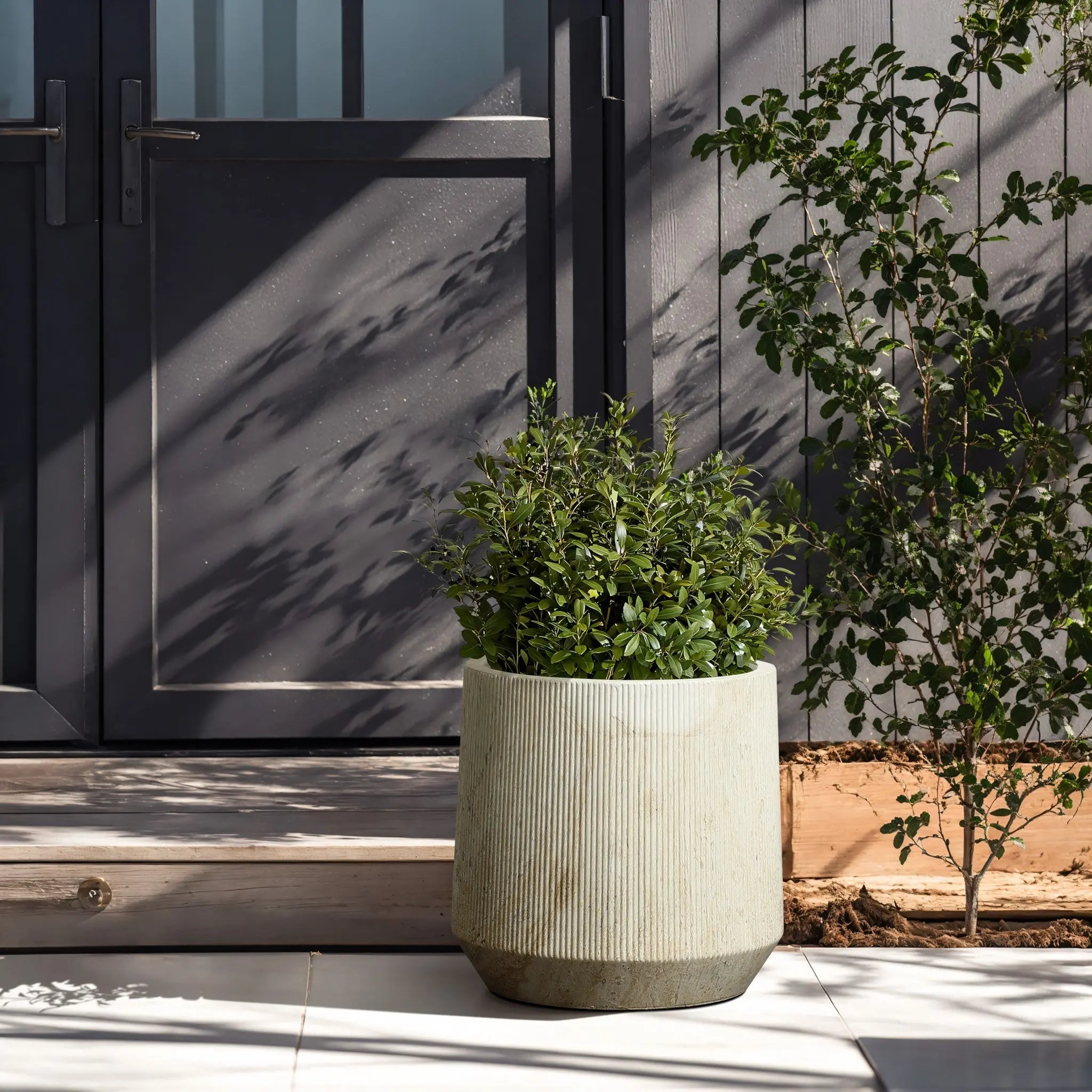 A potted plant sits in a marble planter beside a closed door in a sunlit area. Another plant grows nearby, casting shadows on the paved ground.