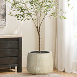 Potted tree with slender branches and green leaves in a ribbed texture planter, placed on a wooden floor beside a dark chest of drawers and white curtains.