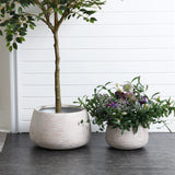 Two round, textured planters rest on a dark floor; the left planter cradles a small tree, while the right showcases various flowering plants. A sleek white panel wall provides a minimalist backdrop.