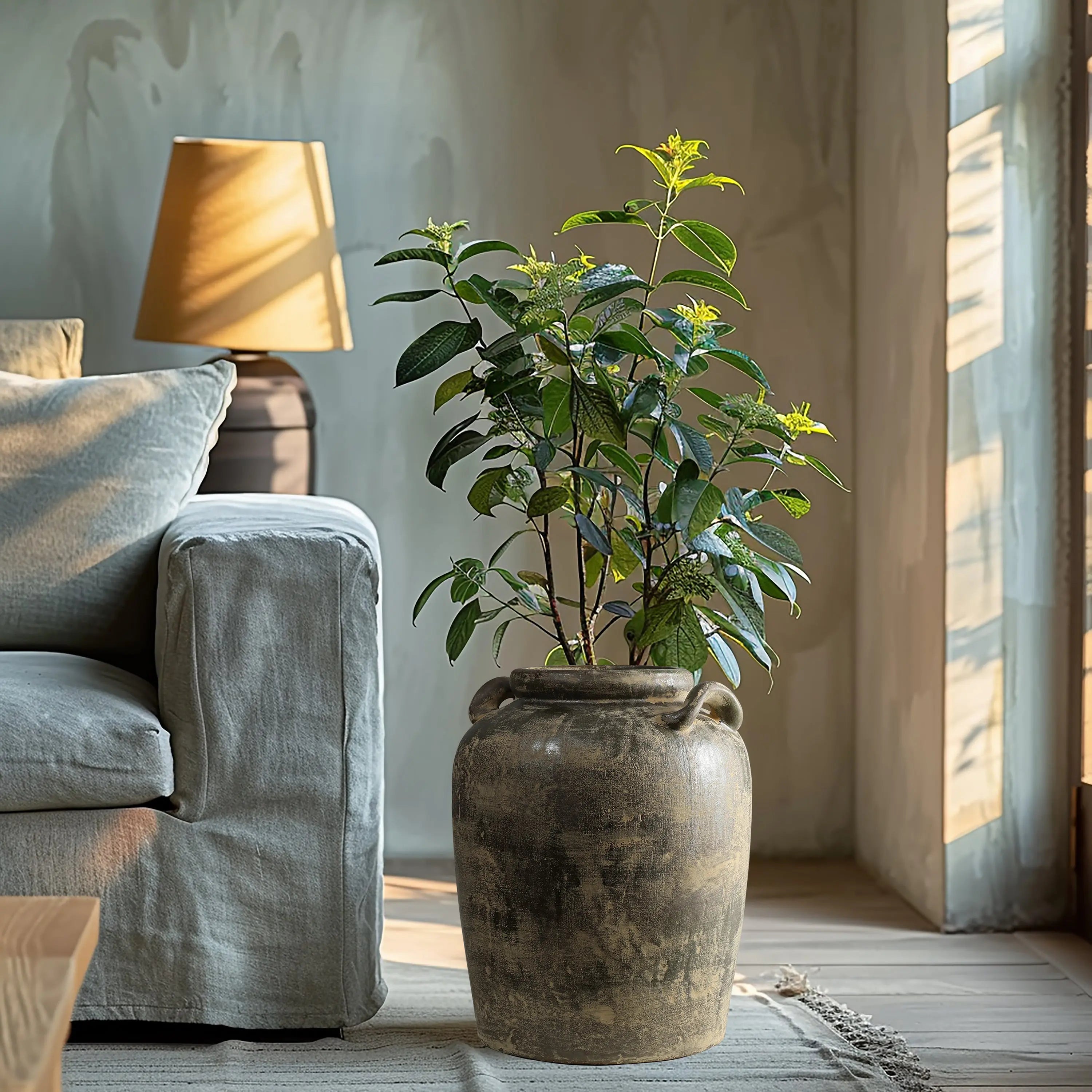 A tall potted plant with broad green leaves stands next to a gray sofa and a LuxenHome Fou antique terracotta vase in a sunlit room, where the light casts shadows on the wall, creating a warm and inviting atmosphere.