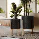 Two elegant planter sets with gold metal stands hold green plants indoors. The room features natural light, a wooden coffee table, and a neutral-toned rug on the floor.