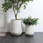 Two large, textured MgO planters on a dark floor; one houses a leafy tree, the other holds a plant with green leaves and small purple flowers. Their modern design features a gray and white speckled texture. A white paneled wall serves as the backdrop.