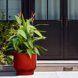 Near closed black double doors on the patio, a LuxenHome burgundy red glazed round ceramic planter (10.83 h) holds a large green plant with pointed leaves and vibrant pink flowers. A small bush grows on the left, while light filters through white curtains inside.