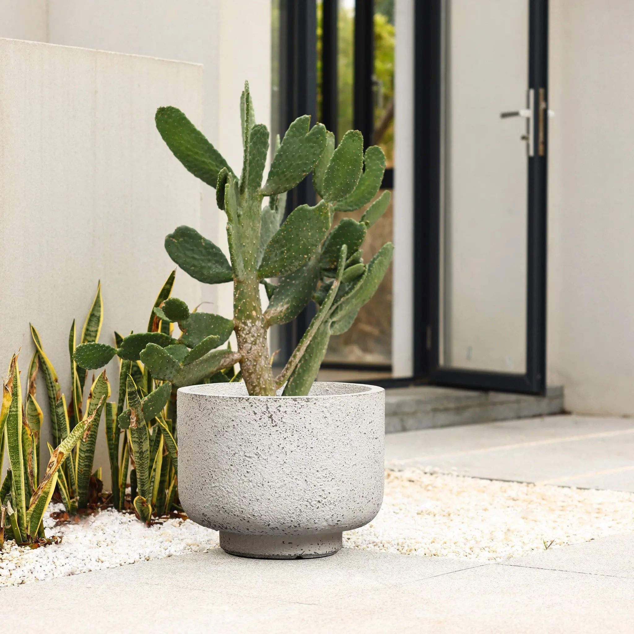 A retro minimalist decor theme shines through with a cactus elegantly nestled in a weather-resistant, white and gray planter. This striking piece sits on the tiled surface near the building entrance, perfectly blending nature with modern style.