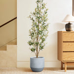 Tall plant with narrow leaves sits in a modern minimalist planter made from high-quality MGO material, nestled beside a wooden dresser and lamp. The two-toned pot includes a drainage hole, promoting healthy growth in style.