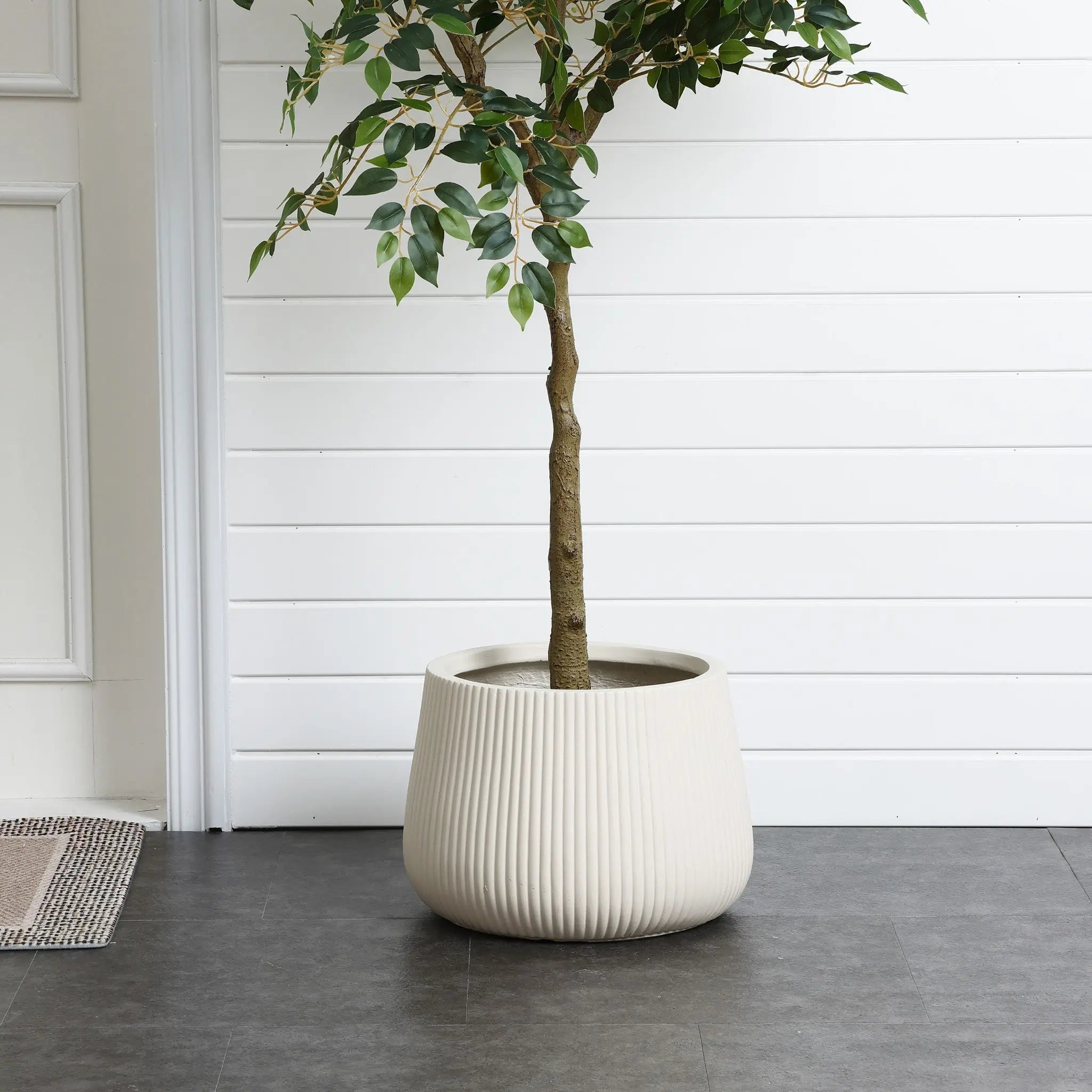 A green-leafed potted tree in a LuxenHome Ribbed Round Planter, 10.63 h, stands on a dark tile floor against a white shiplap wall. The planters modern minimalist cream design complements the sleek surroundings. A small part of a doormat appears on the left.