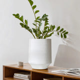 A green plant in a white terracotta vase sits on a wooden shelf beside a small container and an open magazine.