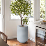A potted tree with green leaves stands in a modern gray round planter by the window. The room features wooden flooring, a dining table, and a counter with a fruit bowl, all contributing to the modern minimalist decor.
