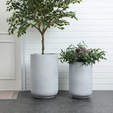 Two large Gray Round Planters sit on a tiled floor; the left cradles a leafy tree, while the right bursts with a plant adorned in purple flowers. The white paneled wall behind them completes this display of modern minimalist decor.