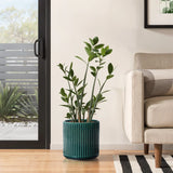 A lush green plant flourishes in a LuxenHome Jade green ribbed glazed round ceramic planter on a wooden floor beside a beige sofa. Positioned near a sliding glass door, it offers garden views, creating an indoor modern plant paradise thats bright and refreshing.