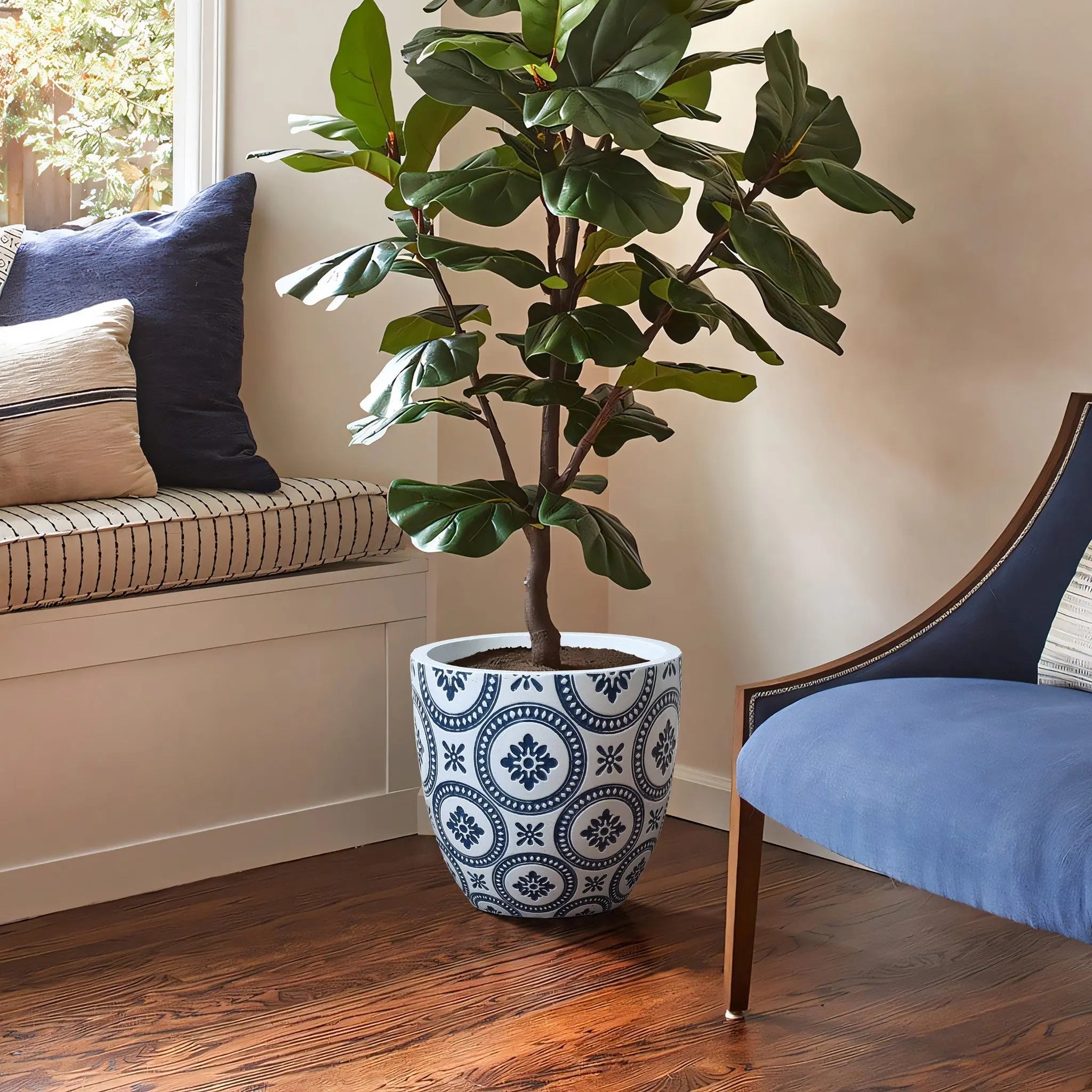 In an inviting indoor corner, a fiddle leaf fig thrives in a modern planter crafted from durable MgO material. The decorative blue and white pot sits gracefully on the wooden floor beside a blue cushioned chair and a window bench adorned with striped cushions.