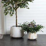 Against a white paneled wall, two white-washed MgO planters rest on a dark floor—one cradles a small tree, while the other showcases assorted purple and green plants. Versatile for both indoor and outdoor spaces, this set blends style with function effortlessly.