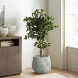 A Rustic Multi-Color Cement 14-Inch Round Planter by LuxenHome holds a lush potted tree, enhancing the wooden floor and cabinet. Placed by a window, it lets natural light fill the room.