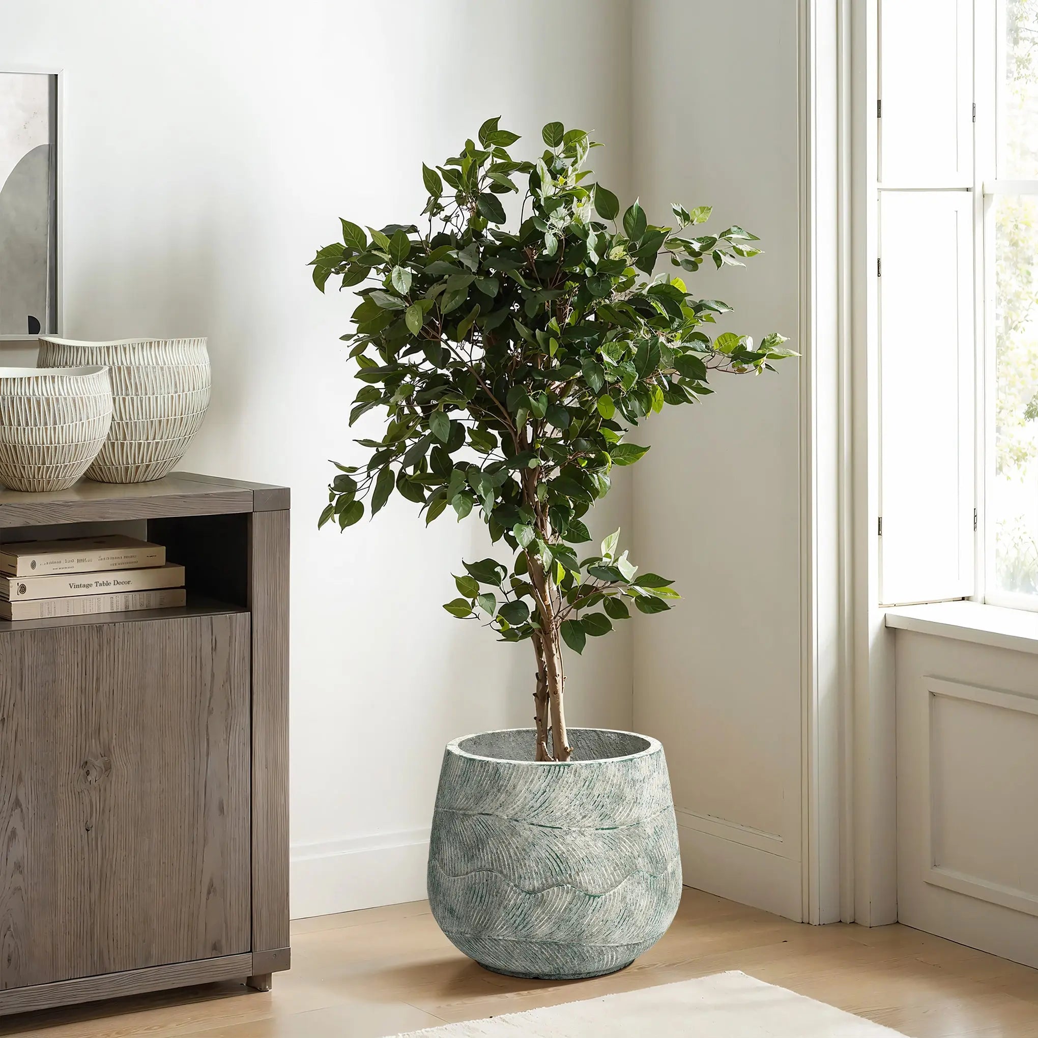 A Rustic Multi-Color Cement 14-Inch Round Planter by LuxenHome holds a lush potted tree, enhancing the wooden floor and cabinet. Placed by a window, it lets natural light fill the room.
