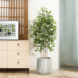 A potted plant with lush green leaves sits in a planter set with a drainage hole beside a wooden cabinet with drawers, a framed artwork, and a glass door.