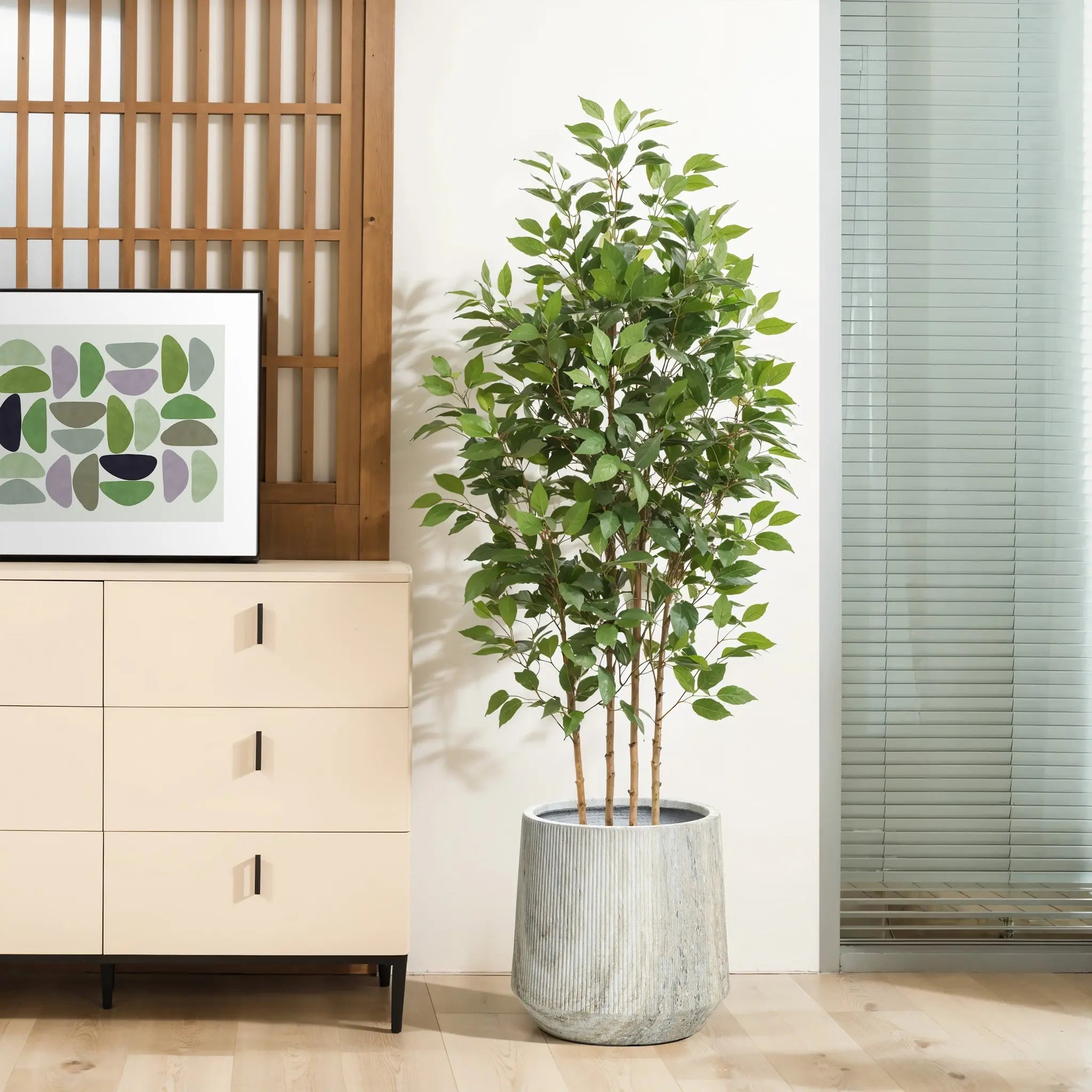 A potted plant with lush green leaves sits in a planter set with a drainage hole beside a wooden cabinet with drawers, a framed artwork, and a glass door.