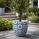 The decorative blue and white patterned pot, made of MgO material, cradles a small tree on the paved patio, surrounded by vibrant greenery and flowers.