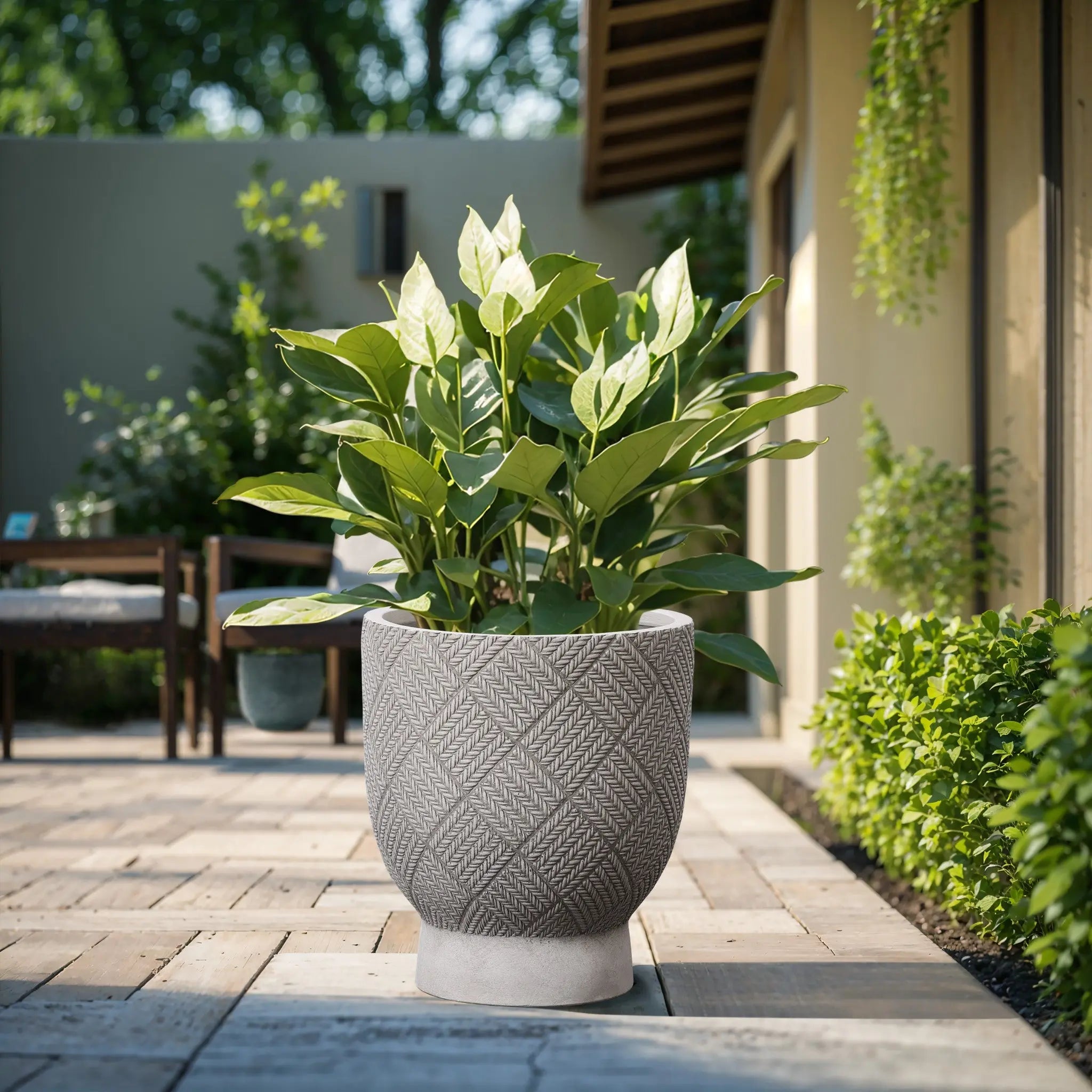 A large planter with broad, glossy leaves graces the wooden patio, enhancing its charm. In the background, a building adorned with lush greenery adds to the serene atmosphere.