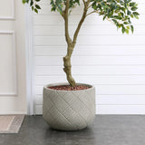 A tree with a thick trunk is planted in a large, textured MgO material planter filled with small red rocks, placed against a white paneled wall and a tiled floor.