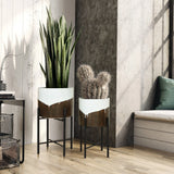 Two indoor plants in modern metal cachepot planters, a tall snake plant and a smaller cactus, add a dynamic visual effect to the sunlit corner of a room with wooden flooring and a cushion on the windowsill.
