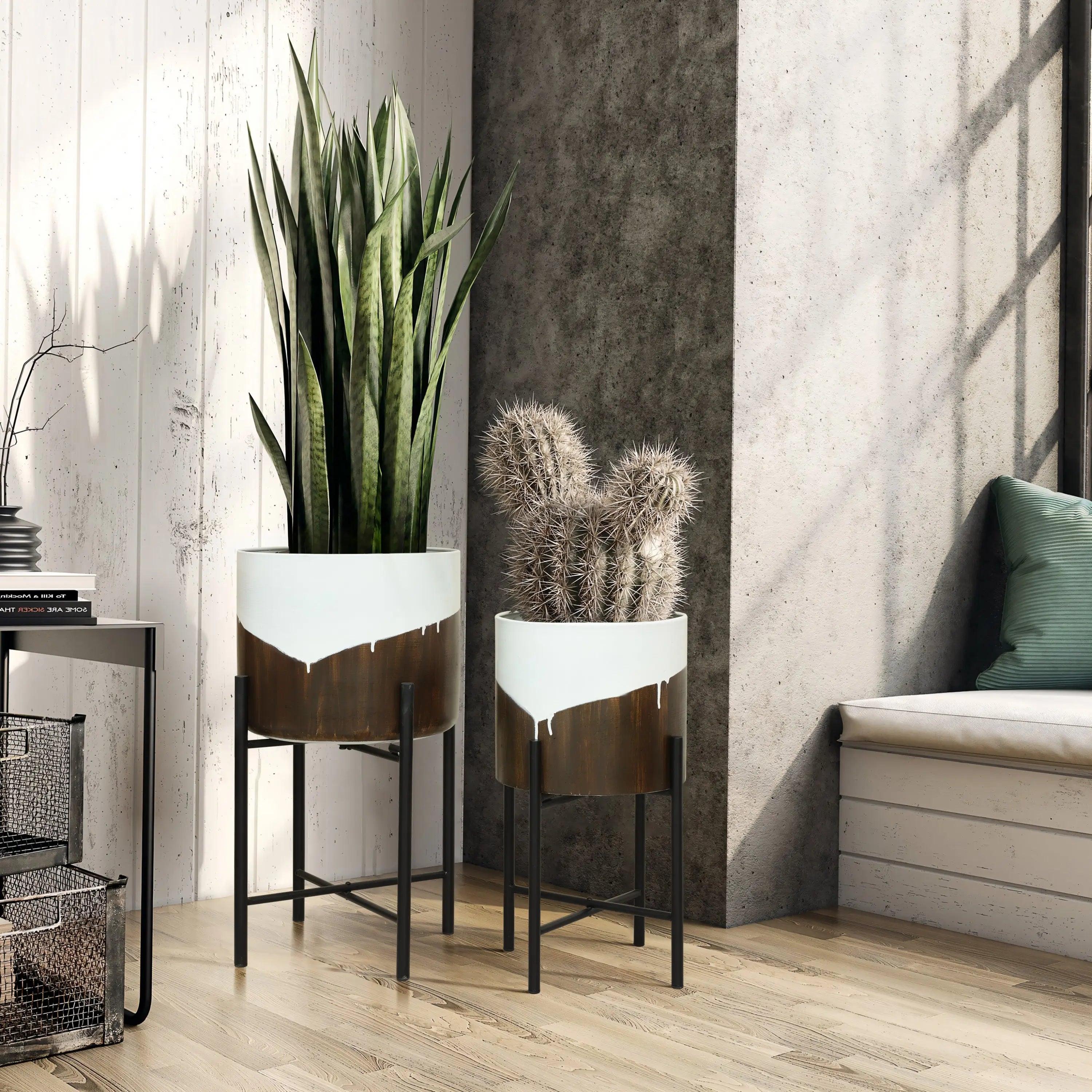 Two indoor plants in modern metal cachepot planters, a tall snake plant and a smaller cactus, add a dynamic visual effect to the sunlit corner of a room with wooden flooring and a cushion on the windowsill.