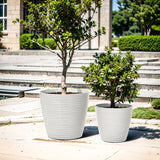 Two potted trees in large decorative planters grace the paved outdoor area, harmonizing beautifully with the building and greenery in the background. These weather-resistant planters add a touch of elegance, perfectly suited for both indoor and outdoor use.
