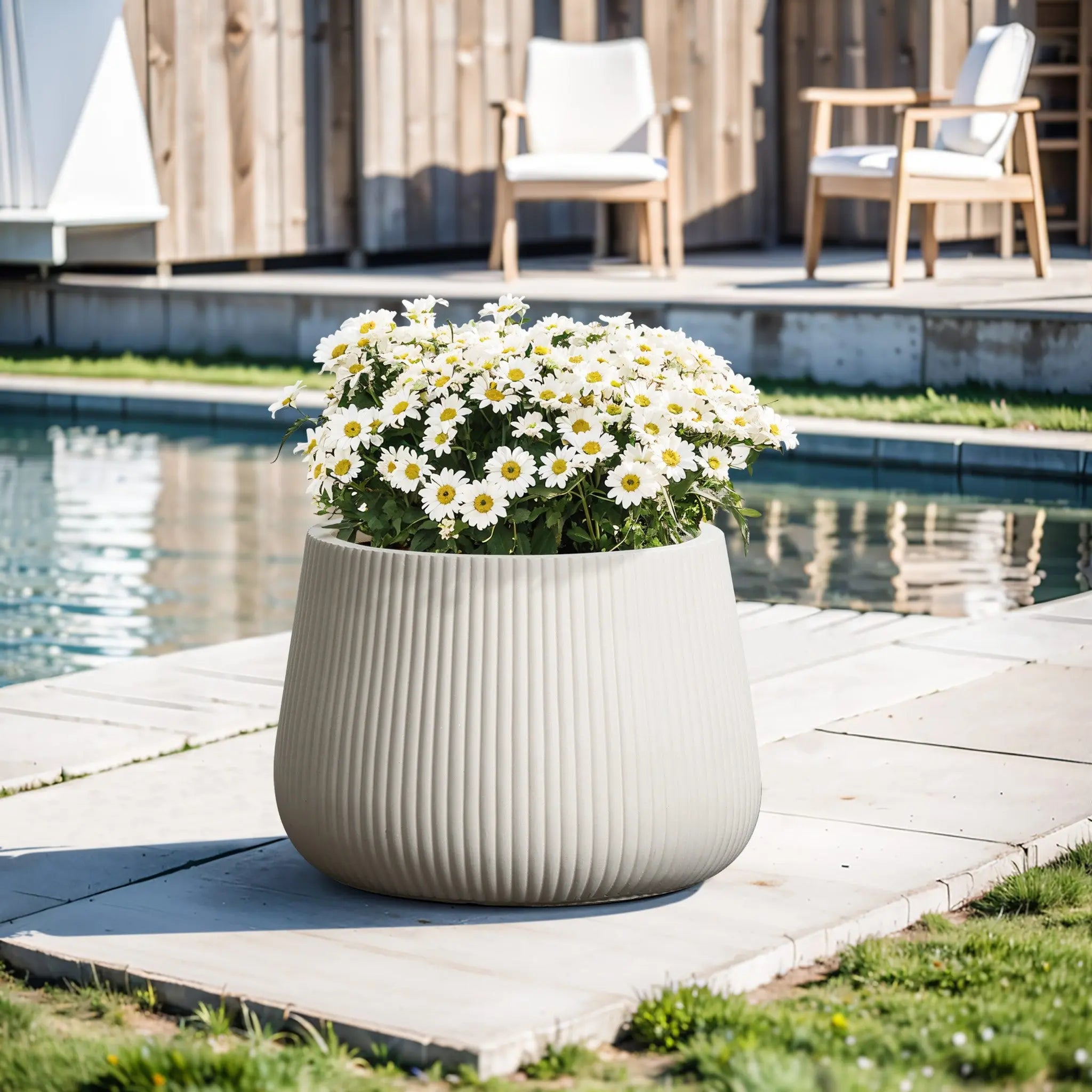 A Ribbed round planter by LuxenHome, 10.63 inches in height, filled with blooming white daisies is placed on a patio by the pool. In the background, a wooden deck features two white-cushioned chairs, while sunlight highlights the modern minimalist style and serene outdoor setting.