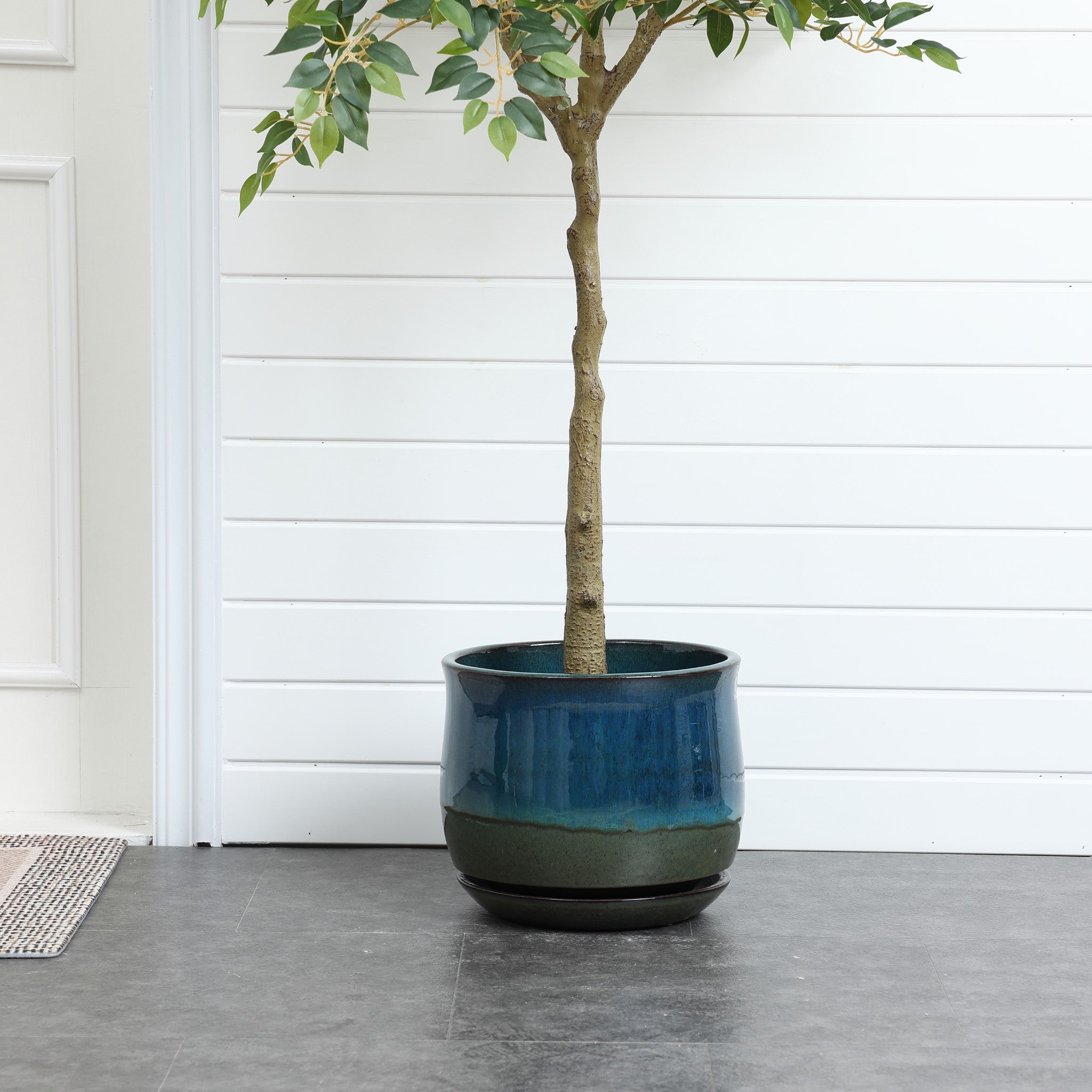 A tree with a slender trunk is planted in a glossy blue ceramic planter with drainage holes on a dark tiled floor against a white paneled wall.