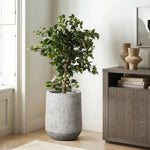 Potted indoor tree in a speckled design gray stone planter beside a wooden cabinet adorned with stacked books and decorative vases.