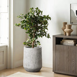 Potted indoor tree in a speckled design gray stone planter beside a wooden cabinet adorned with stacked books and decorative vases.