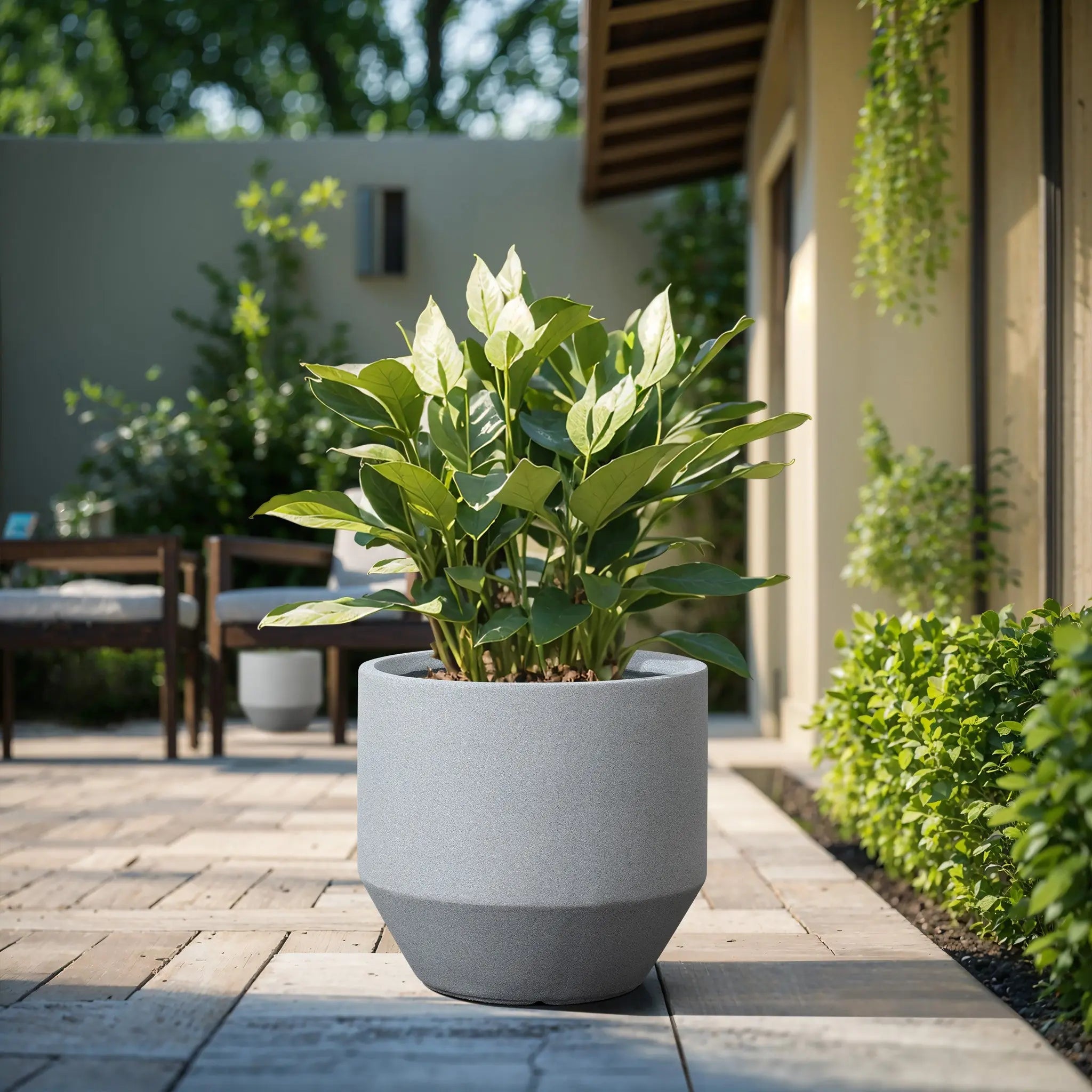 A large potted plant with green leaves sits on a wooden patio, embraced by other greenery. The modern minimalist planter adds a touch of elegance, seamlessly blending indoor and outdoor decor while providing excellent weather resistance for year-round beauty.