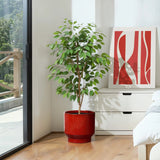A small tree with green leaves sits in a LuxenHome Burgundy red glazed round ceramic planter on a wooden floor by a white dresser. Nearby, a red and white abstract painting leans against the wall. Sunlight enters through a sliding glass door, revealing greenery on the balcony.