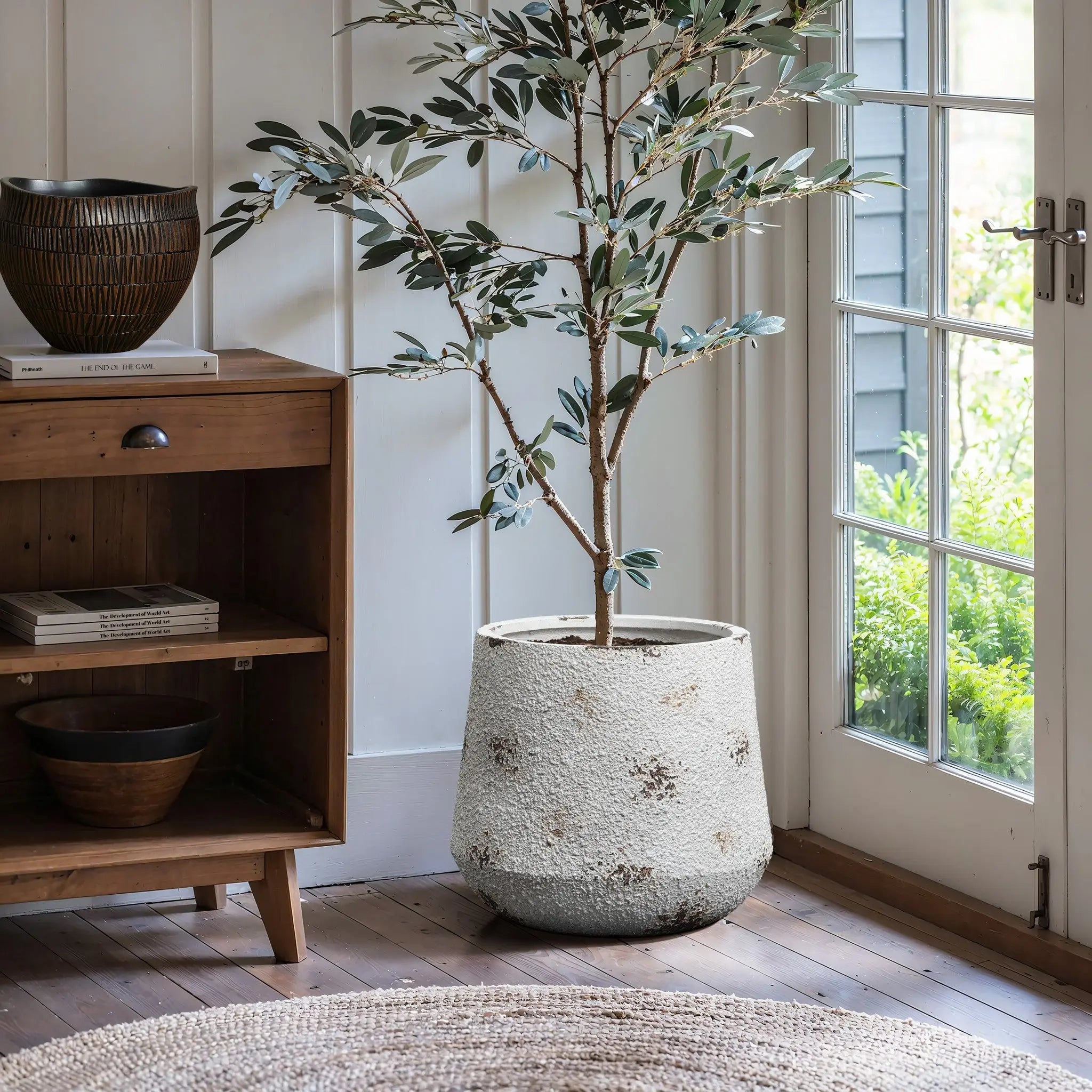 A potted olive tree sits in a textured white round planter, embodying a vintage minimalist style. Its positioned next to a wooden shelf and glass door on a wooden floor, with a round rug adding warmth in the foreground.