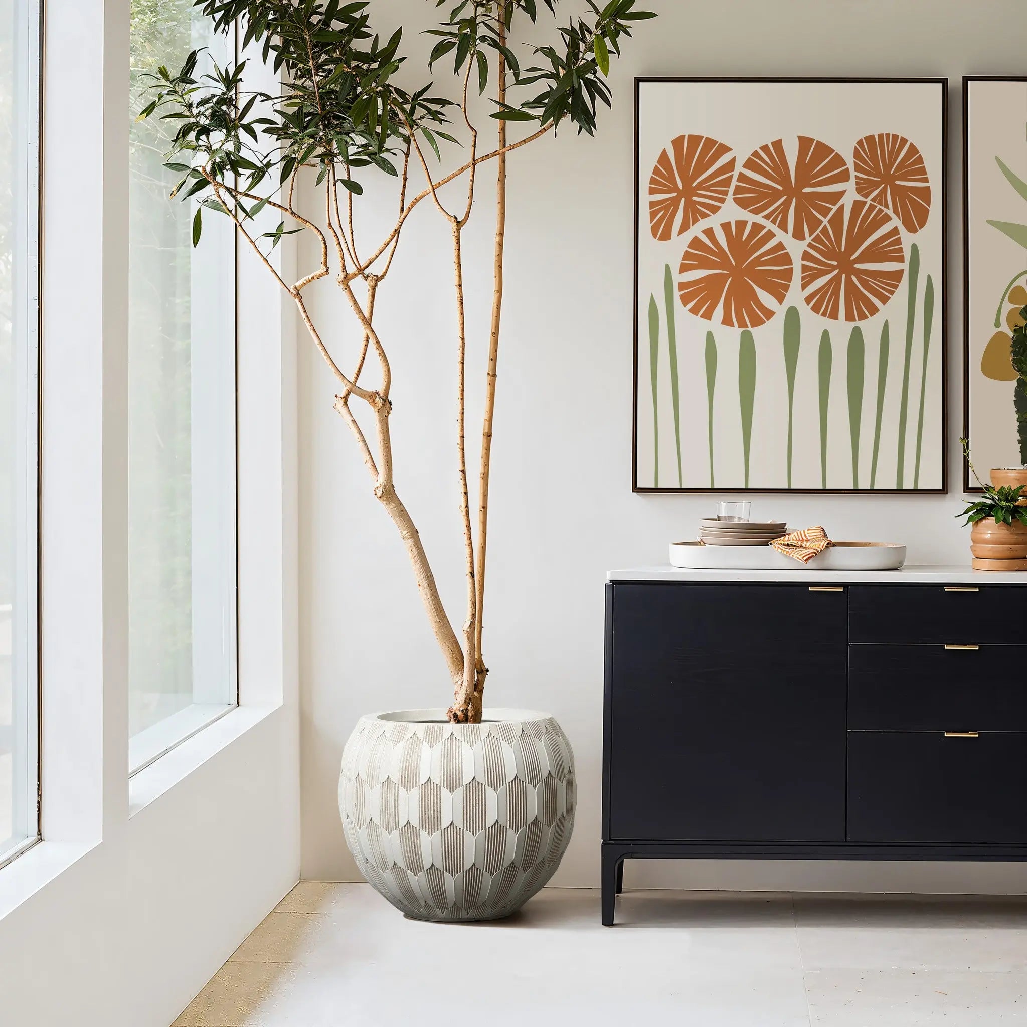 A tall plant in a White and Beige Geometric Patterned Round Planter from LuxenHome is beside a black sideboard with a white top. Framed botanical prints hang above. Large windows on the left flood natural light into the modern, minimalist room, accentuating its geometric design elements.
