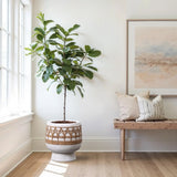 A potted plant with broad leaves sits in a round planter beside a wooden bench with cushions, under a framed artwork, adding a touch of Bohemian style to the bright room.