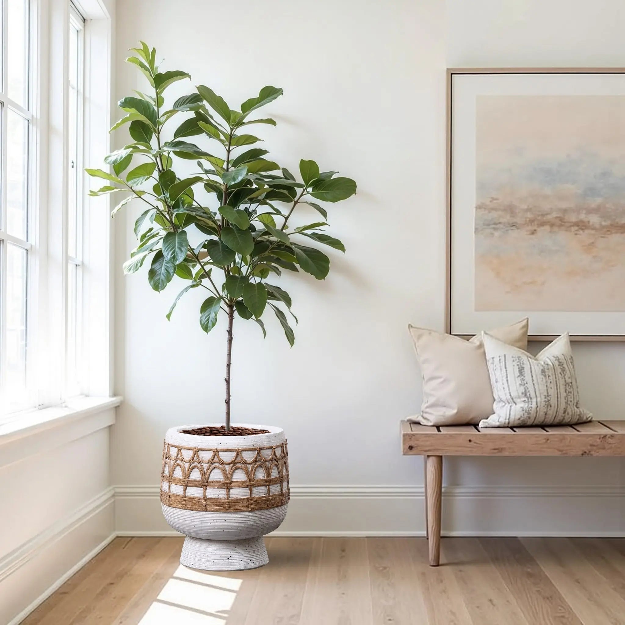 A potted plant with broad leaves sits in a round planter beside a wooden bench with cushions, under a framed artwork, adding a touch of Bohemian style to the bright room.