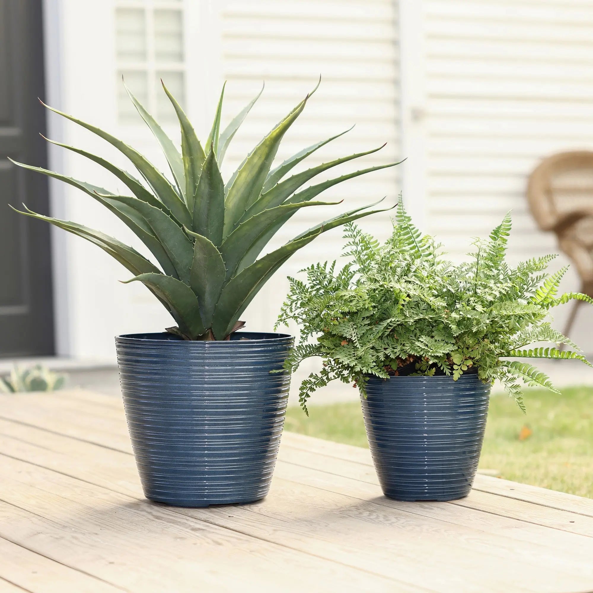 Two blue decorative planters sit on a wooden deck, each with unique charm: one boasts a tall spiky plant while the other cradles a leafy fern, offering vibrant contrast against the white house. These pots feature UV-protected finishes for lasting beauty in both indoor and outdoor use.