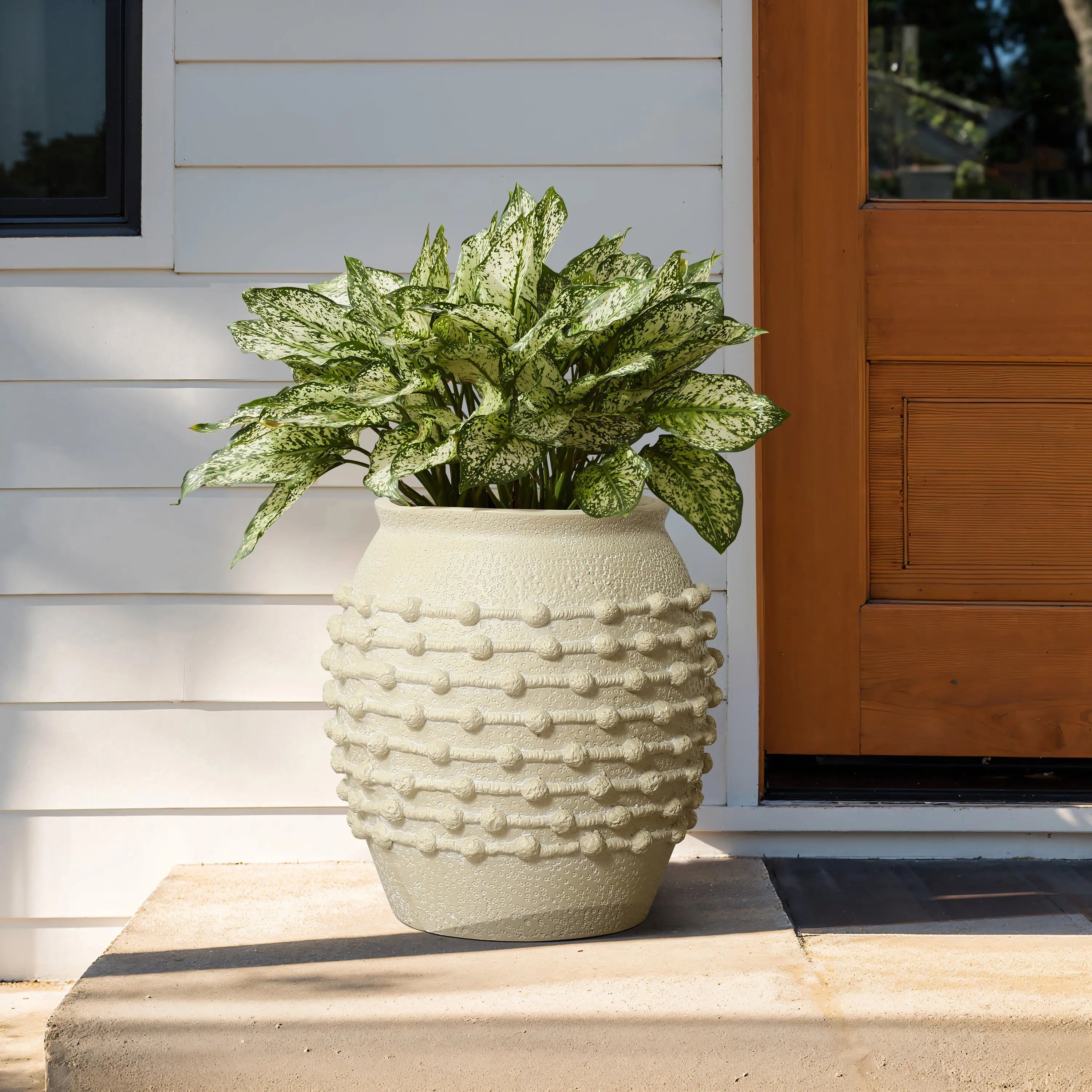 A boho planter with cream-colored textured detailing cradles a vibrant green leafy plant, resting gracefully on a stone step near a wooden door and white siding.