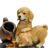 two-puppies-next-to-waterfall-on-a-fountain-with-led-lights